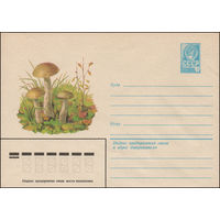 Художественный маркированный конверт СССР N 13503 (07.05.1979) Подберезовик