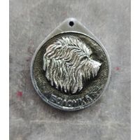 Собачья медаль Болонка