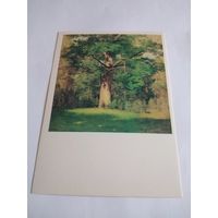 Открытка 1989г. И. Левитан. Дуб.