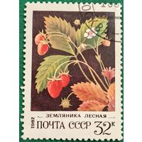 СССР 1982. Земляника лесная