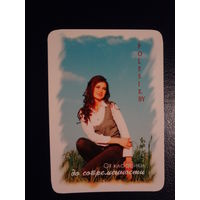 Календарик 2011 г.  Полесье.  (Пинск). От классики до современности.