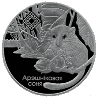 Соня орешниковая. Заказник "Свитязянский". 1 рубль 2023 год. Тираж 1500 шт.