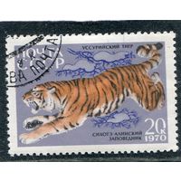 СССР 1970.. Заповедник. Уссурийский тигр