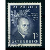 Австрия - 1957 [Mi. 1033] Гашеная (AT10)