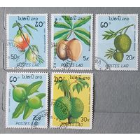 Лаос фрукты 5шт