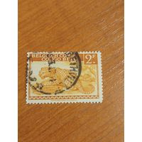 Бельгийская колония Конго леопард фауна (2-4)