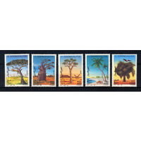 1994 Сомали. Деревья