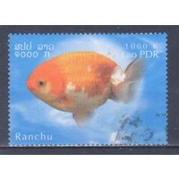 [1874] Лаос 2002. Фауна.Рыбы.Аквариумная рыбка. Гашеная марка.