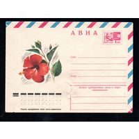 Художественный маркированный конверт СССР N 12061 (13.05.1977) АВИА  Хибискус (Китайская роза)