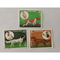 Охотничьи собаки