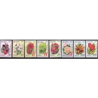 Беларусь 2008.Стандарт. Садовые цветы. Бумага мелованная. 8 марок 729-36 (424)