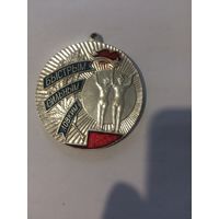 Быстрым,сильным, ловким. 1 -е место. Медаль.