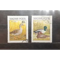 Венгрия. 1980 год. Фауна. Водоплаваающие птицы (412)