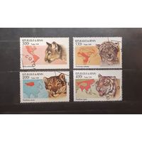 Бенин. 1999 год. Фауна. Дикие кошки (625)