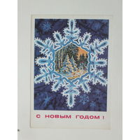 Горлищев с новым годом  1975 10х15 см