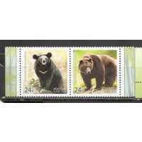 ФФ1 Россия 2020 Медведь