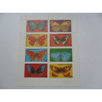 Экваториальная Гвинея, бабочки