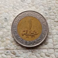1 фунт 2008 года Египет. Арабская Республика Египет.