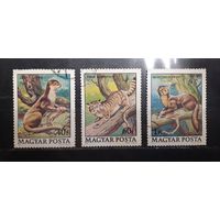 Венгрия. 1979 год. Фауна (578)