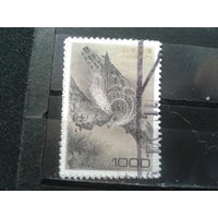 Япония, 1996. Ястреб. Mi-6,0 евро гаш.