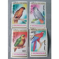 Монголия попугаи 4шт