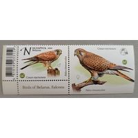 Сокол (из серии). Марка с купоном. Беларусь, 2021