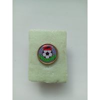 ФК Шинник Бобруйск