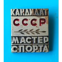 Кандидат в мастера спорта (КМС).