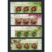 Беларусь 2015. Фауна. Божья коровка. Верхняя сцепка листа