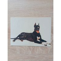 Календарик 1992-93