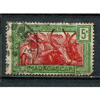 Французские колонии - Мадагаскар - 1930 - Зебу 5С - [Mi.183] - 1 марка. Гашеная.  (Лот 28HY)-TG3P47