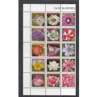 Флора. Цветы. Суринам. 2009. 10 марок с купонами. Michel N 2345-2354 (24,0 е)