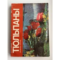 В.М. Кудрявцева. Тюльпаны