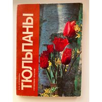 В.М. Кудрявцева. Тюльпаны