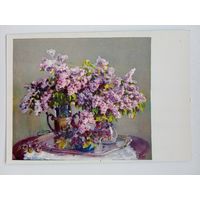 1959. Ушакова. Сирень