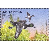 Беларусь 1996 фауна утки