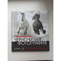 Современная чёрно-белая фотография.