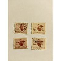 ЮАР  1961-63 буйвол 2м