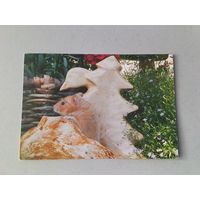 Карманный календарик Хомяк. 2008 год