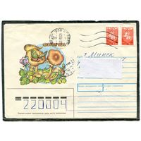 Беларусь. НМК. Конверт п.п. Грибы. Опята. Гашение Слоним 1993