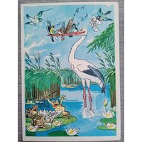 1958. Баженов. Большой концерт