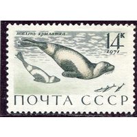 СССР 1971. Тюлени