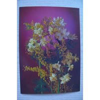 Костенко Г., 8 Марта; 1985, чистая, ДМПК.