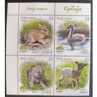 Сербия 2018. Фауна. 4 марки сцепка