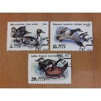 СССР 1991 Фауна. Утки. Полная серия 3 марки
