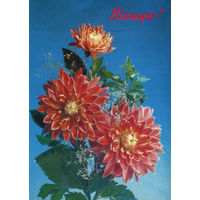 Открытка маркированная Вiншую!  . 1994