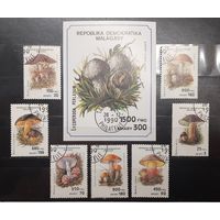 Мадагаскар. 1990 год. Флора. Грибы. Блок и 7 марок (987)