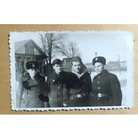 Фото в коллекцию