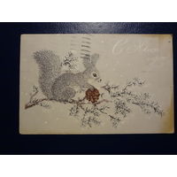 С Новым годом!  1969 г.  Белка, шишка.  подписанная.