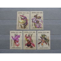 Продажа коллекции с 1 рубля! Почтовые марки СССР